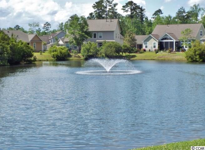 121 Summerlight Drive Murrells Inlet, SC 29576 - Photo 23 of 25 Gallery Image 23