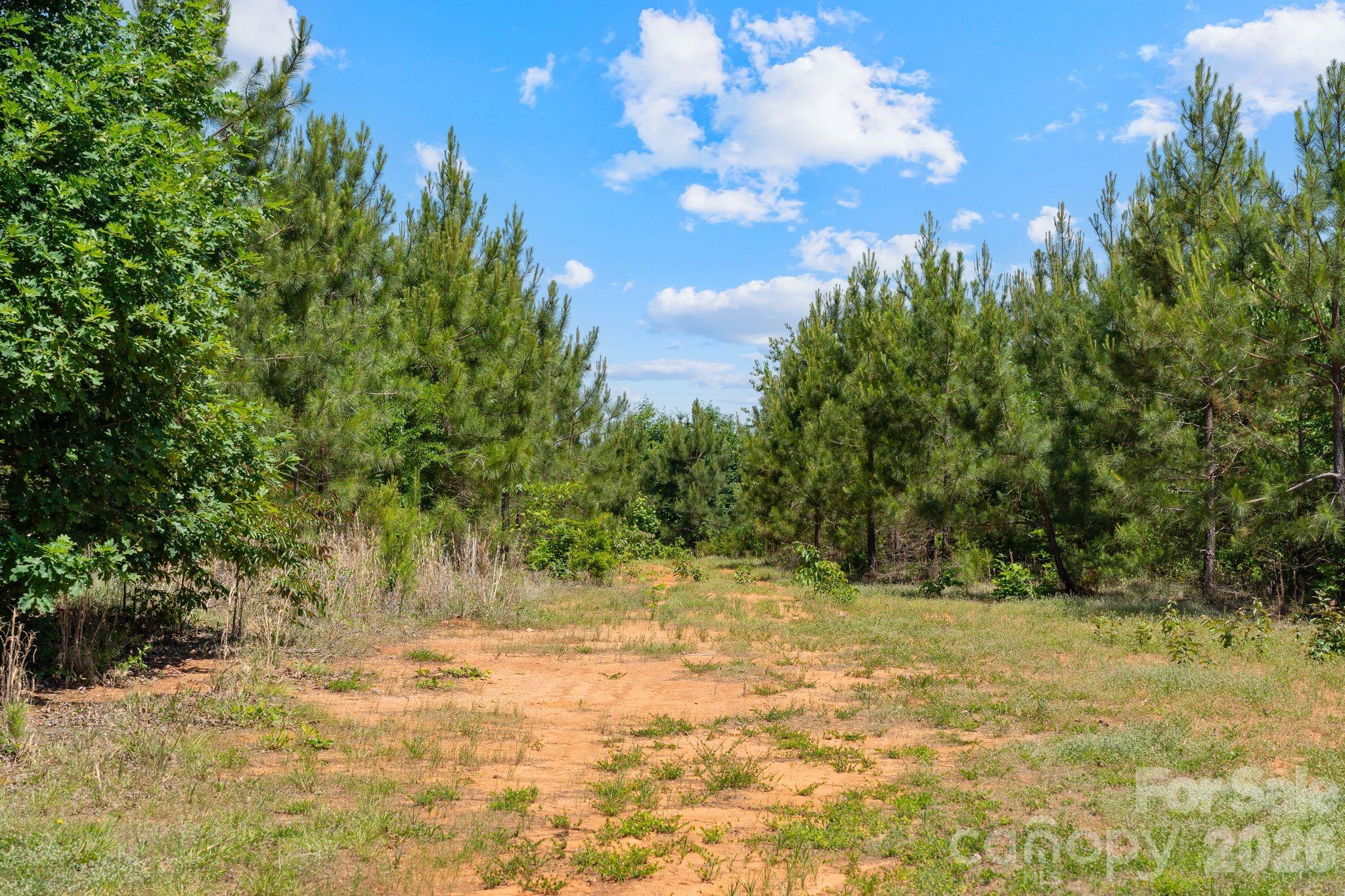 0 Cool Branch Road, Unit 5 Carlisle, SC 29031 - Photo 22 of 47