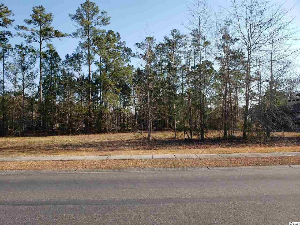 Lot 323 Timmerman Road Myrtle Beach, SC 29588 - Photo 3 of 27 Gallery Image 3