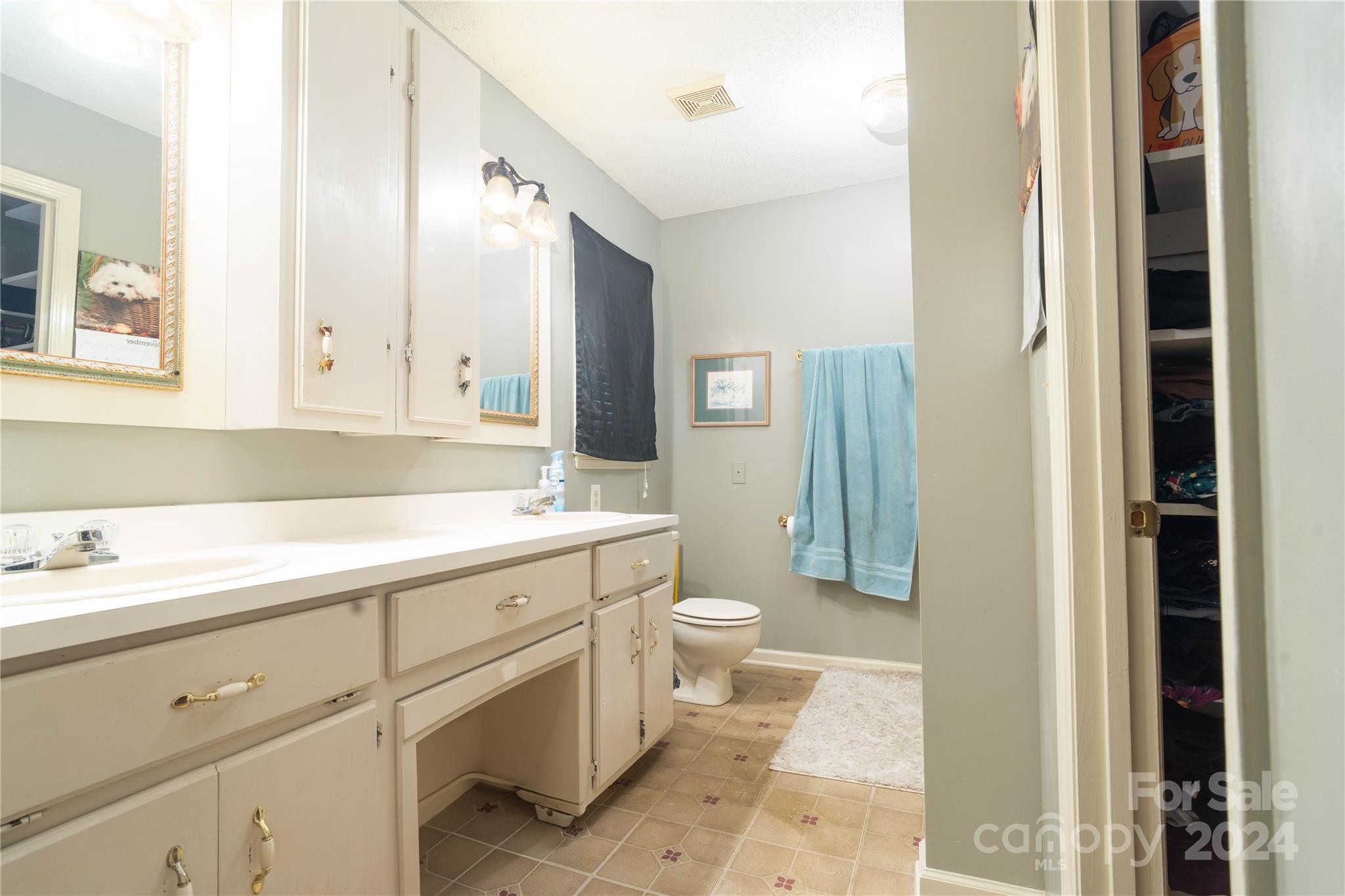 4710 Bert Huffman Drive Granite Falls, NC 28630 - Photo 22 of 28 a spacious bathroom with a sink a toilet and a mirror