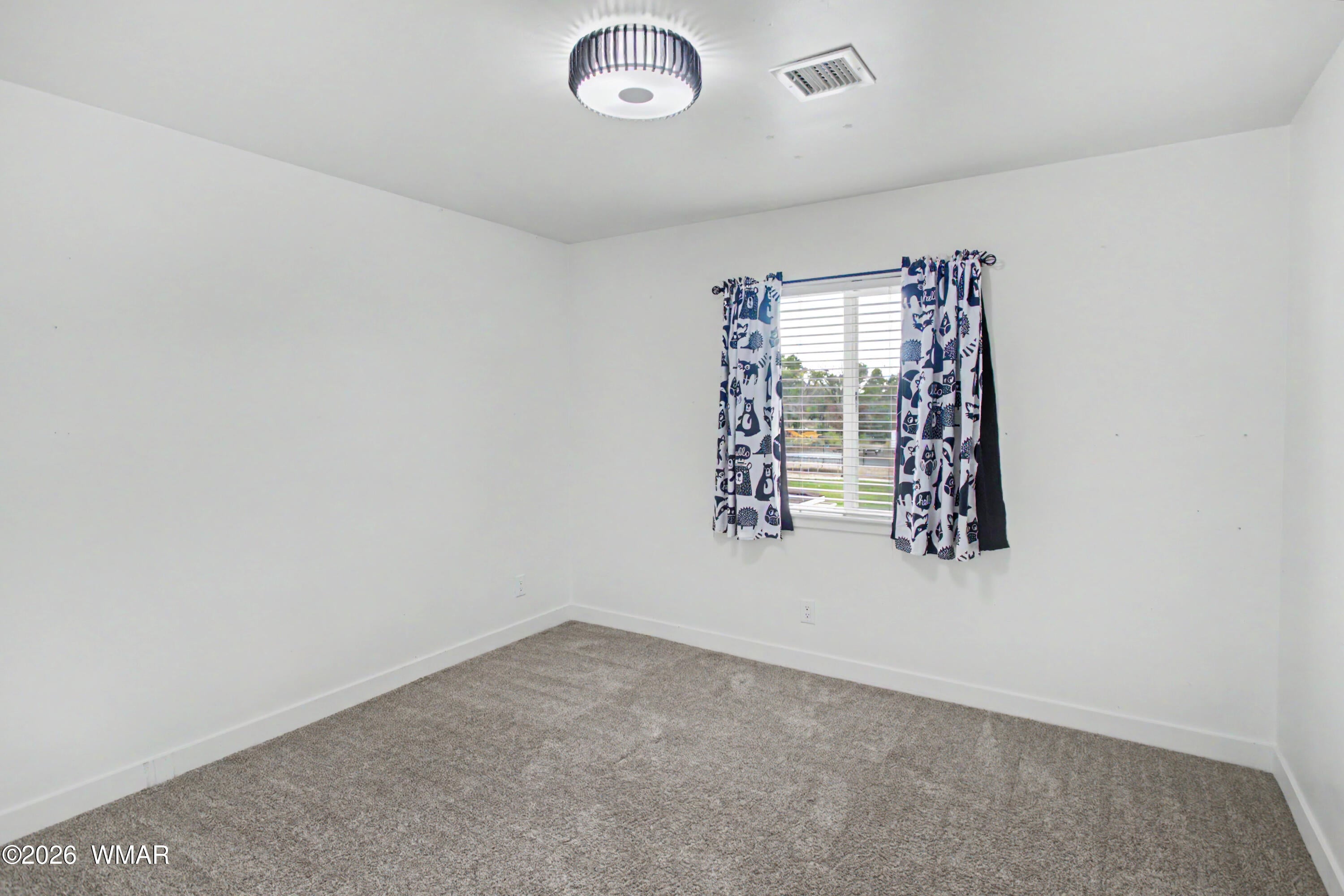 3146 South Bourdon Ranch Taylor, AZ 85939 - Photo 28 of 50 Gallery Image 28