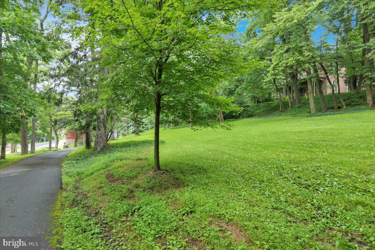 1670 Moselem Spring Road Hamburg, PA 19526 - Photo 53 of 78 a view of a tree in a yard