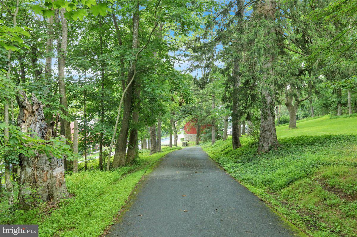 1670 Moselem Spring Road Hamburg, PA 19526 - Photo 54 of 78