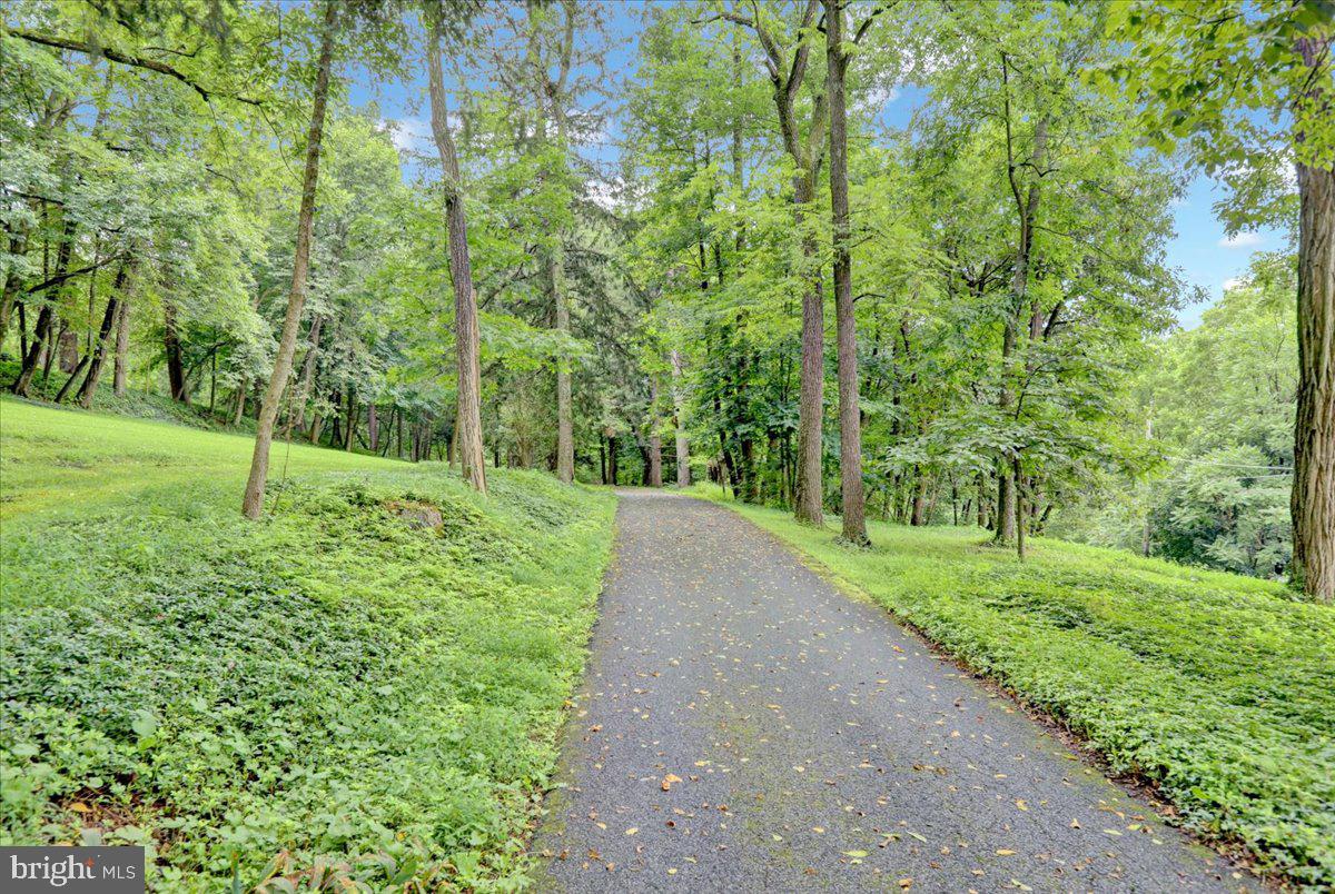 1670 Moselem Spring Road Hamburg, PA 19526 - Photo 56 of 78 a view of a yard with a tree