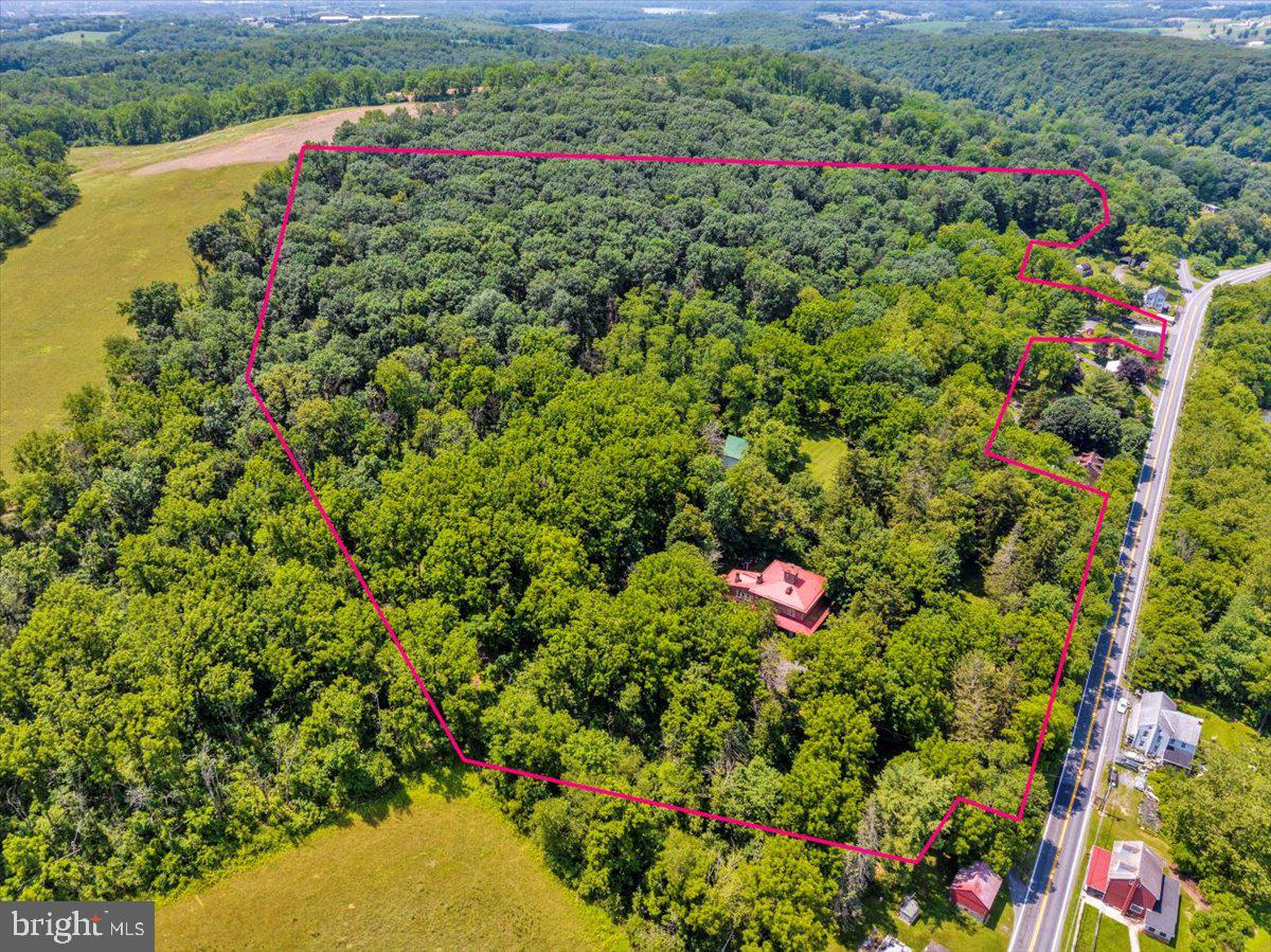 1670 Moselem Spring Road Hamburg, PA 19526 - Photo 57 of 78 a close up of a flower in a garden
