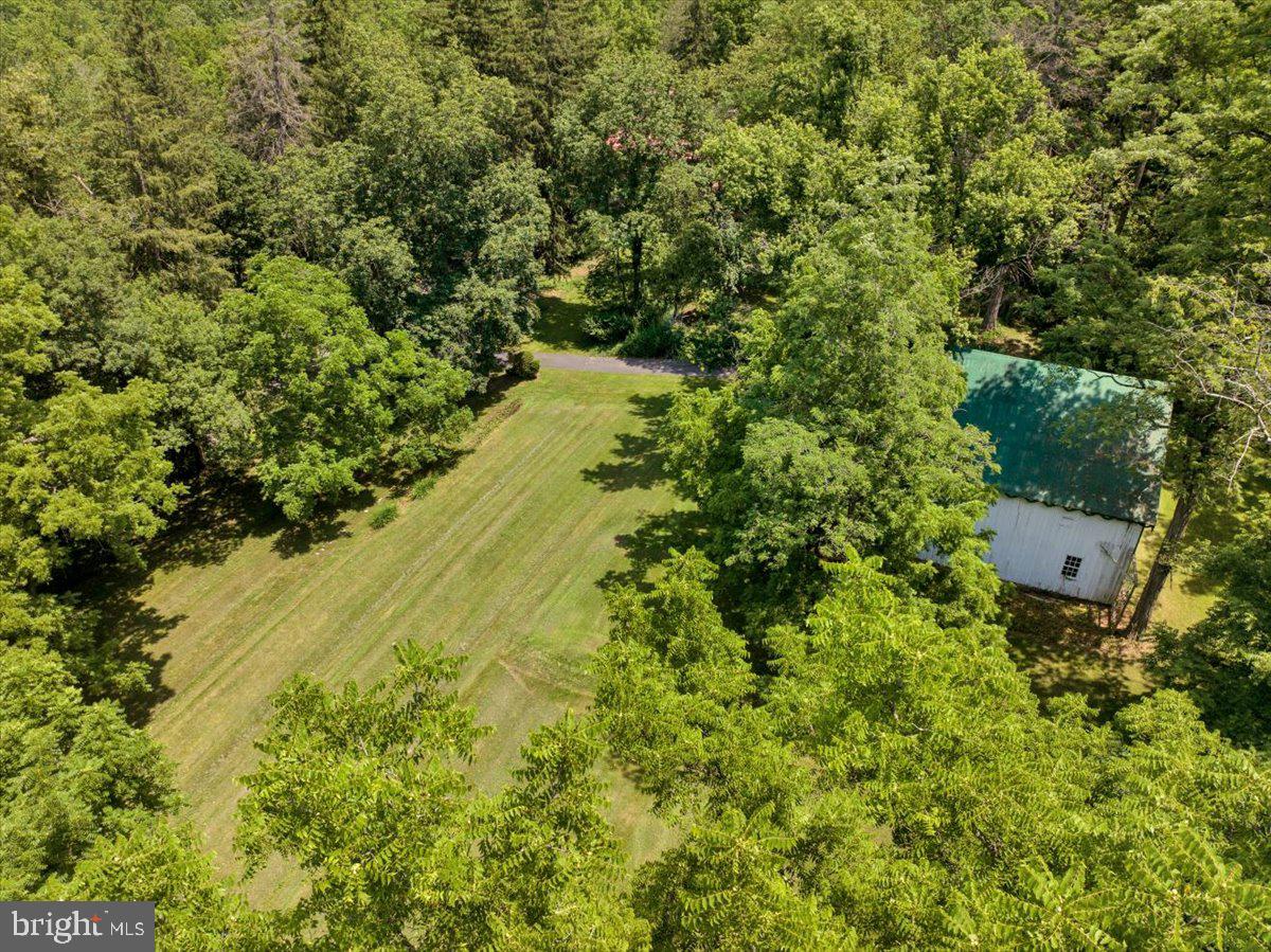1670 Moselem Spring Road Hamburg, PA 19526 - Photo 75 of 78 a view of a yard with plants and large trees