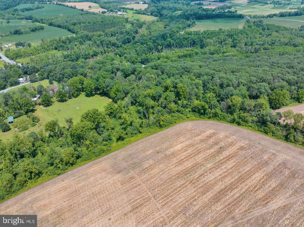 1670 Moselem Spring Road Hamburg, PA 19526 - Photo 77 of 78 a view of a backyard of a house
