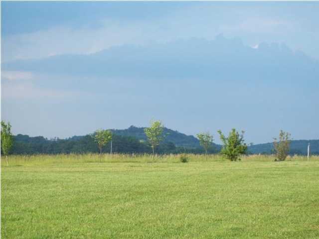 375 Waller Road Pikeville, TN 37367 - Photo 4 of 9 Additional Photo