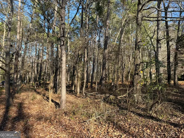 a view of backyard space