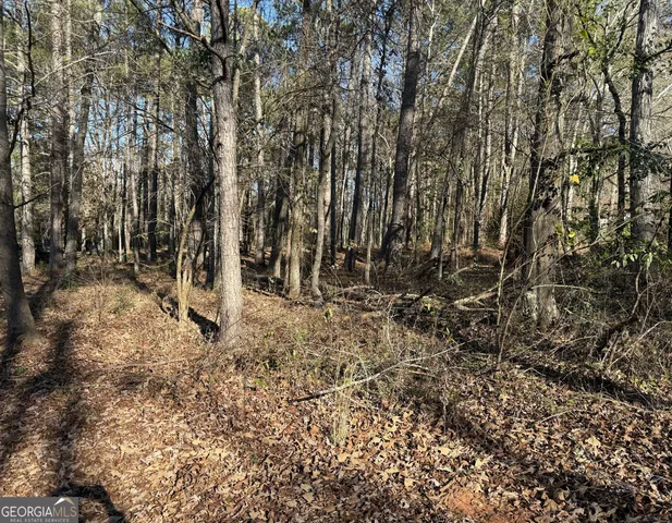 a view of a yard with a tree