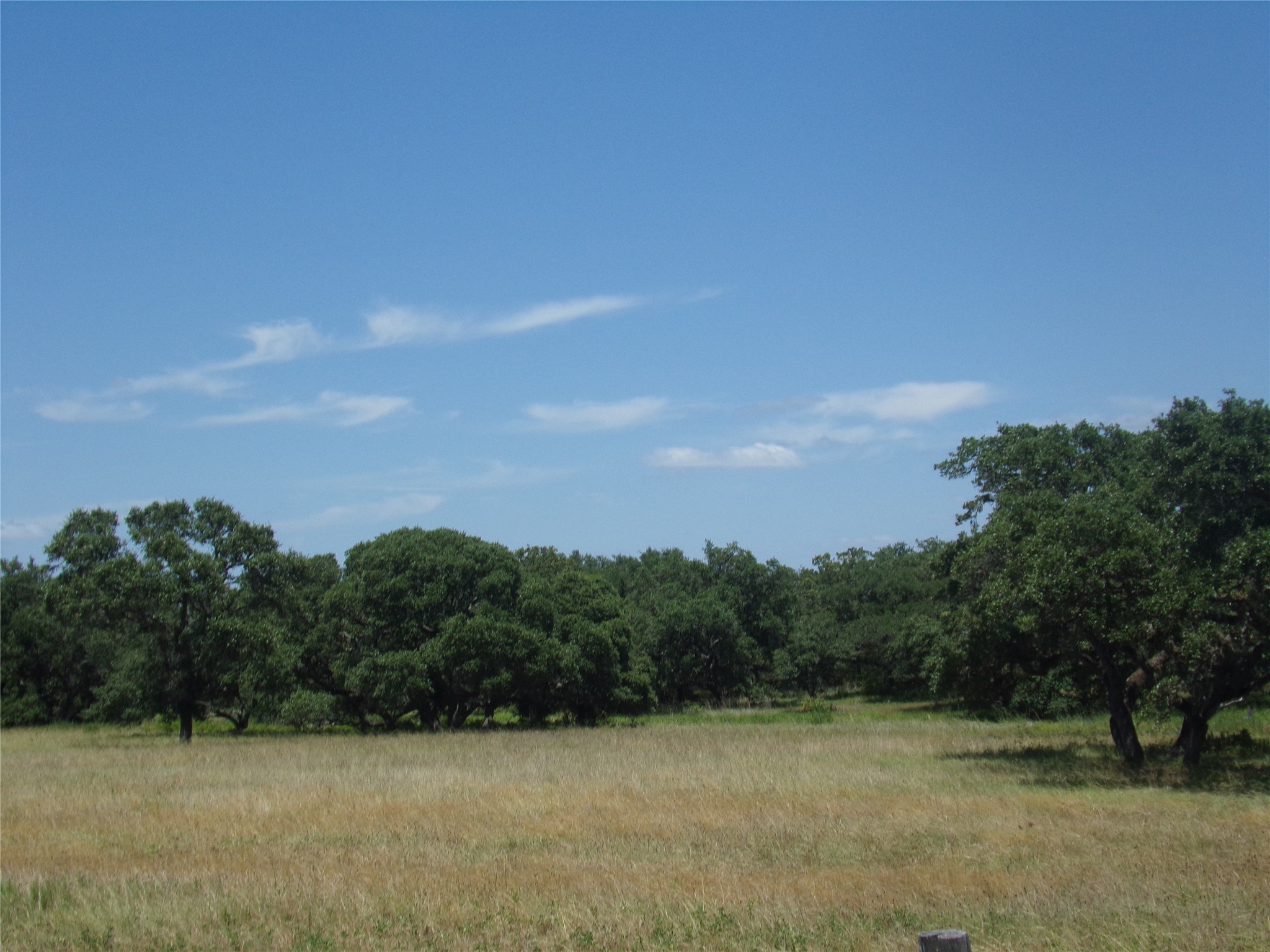 2003 Oak Ridge Road Weimar, TX 78962 - Photo 19 of 35