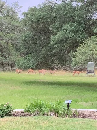 a view of outdoor space and trees