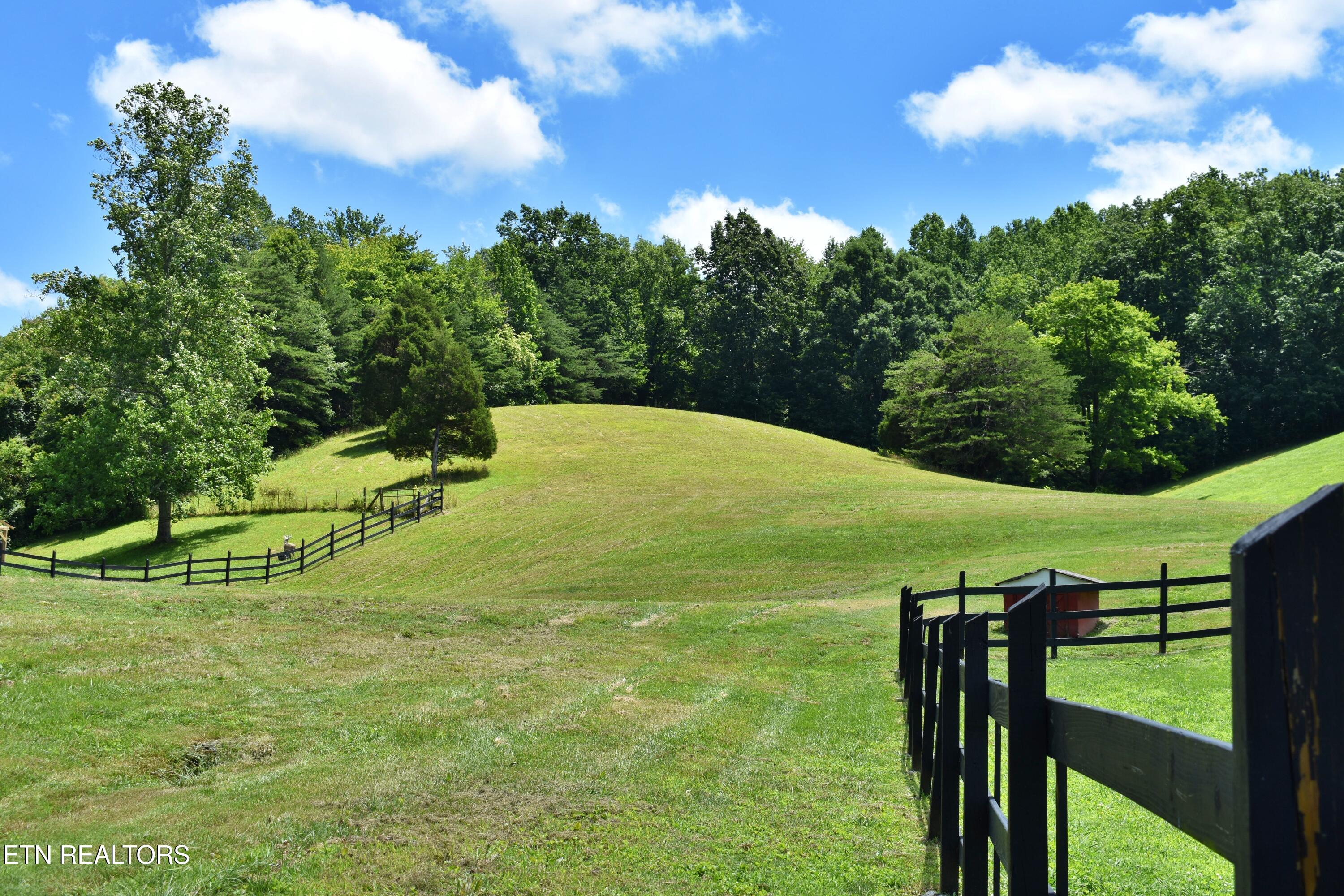 1319 Ideal Valley Road Spring City, TN 37381 - Photo 26 of 49 DSC_0760