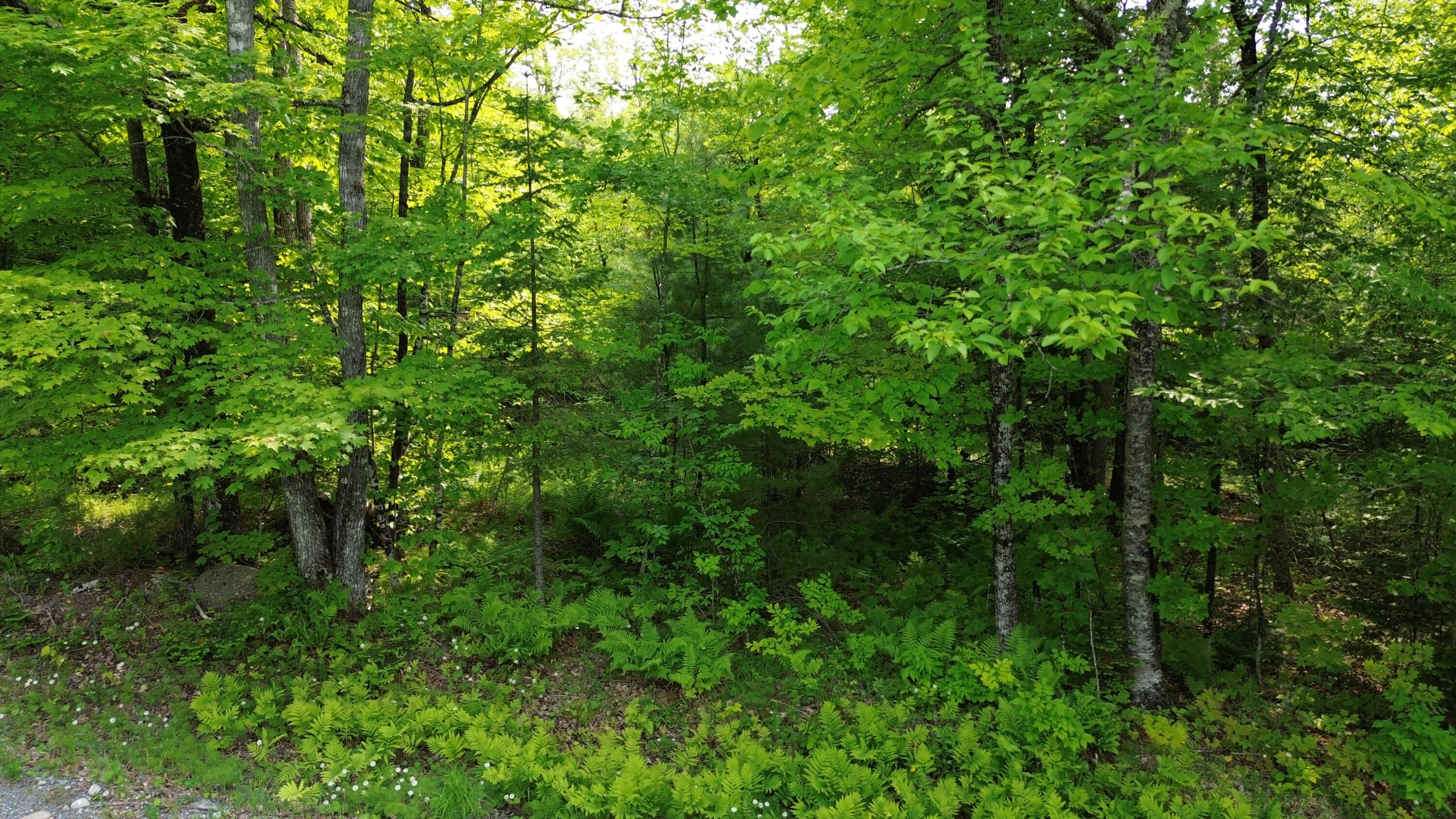 121 Parkman Hill Road Solon, ME 04979 - Photo 12 of 15