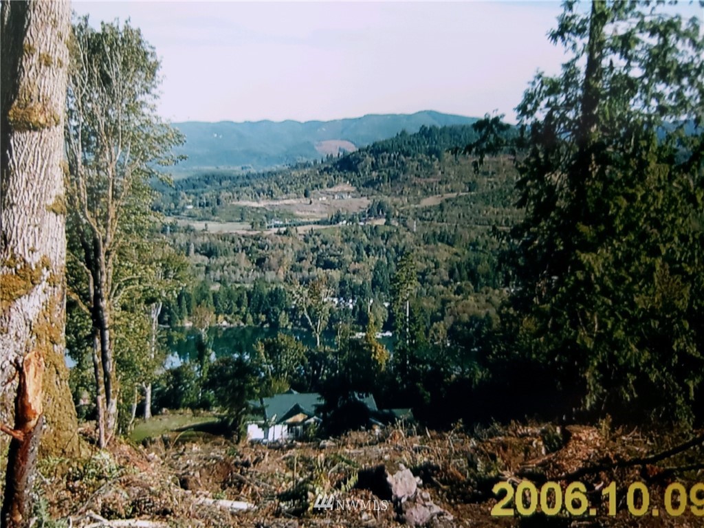 0 Birley Road Mossyrock, WA 98564 - Photo 4 of 6 Gallery Image 4