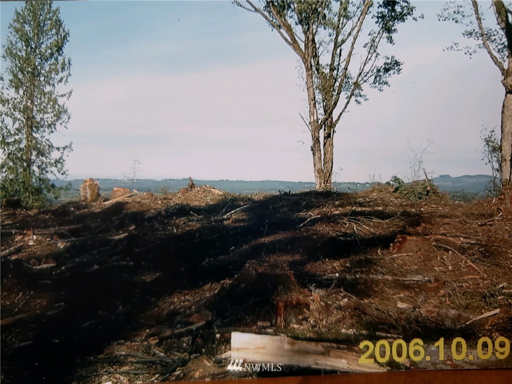 0 Birley Road Mossyrock, WA 98564 - Photo 5 of 6 Gallery Image 5