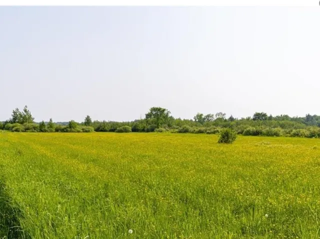 $84,900 | W74-tbd Homestead Road, Conrath, WI 54731