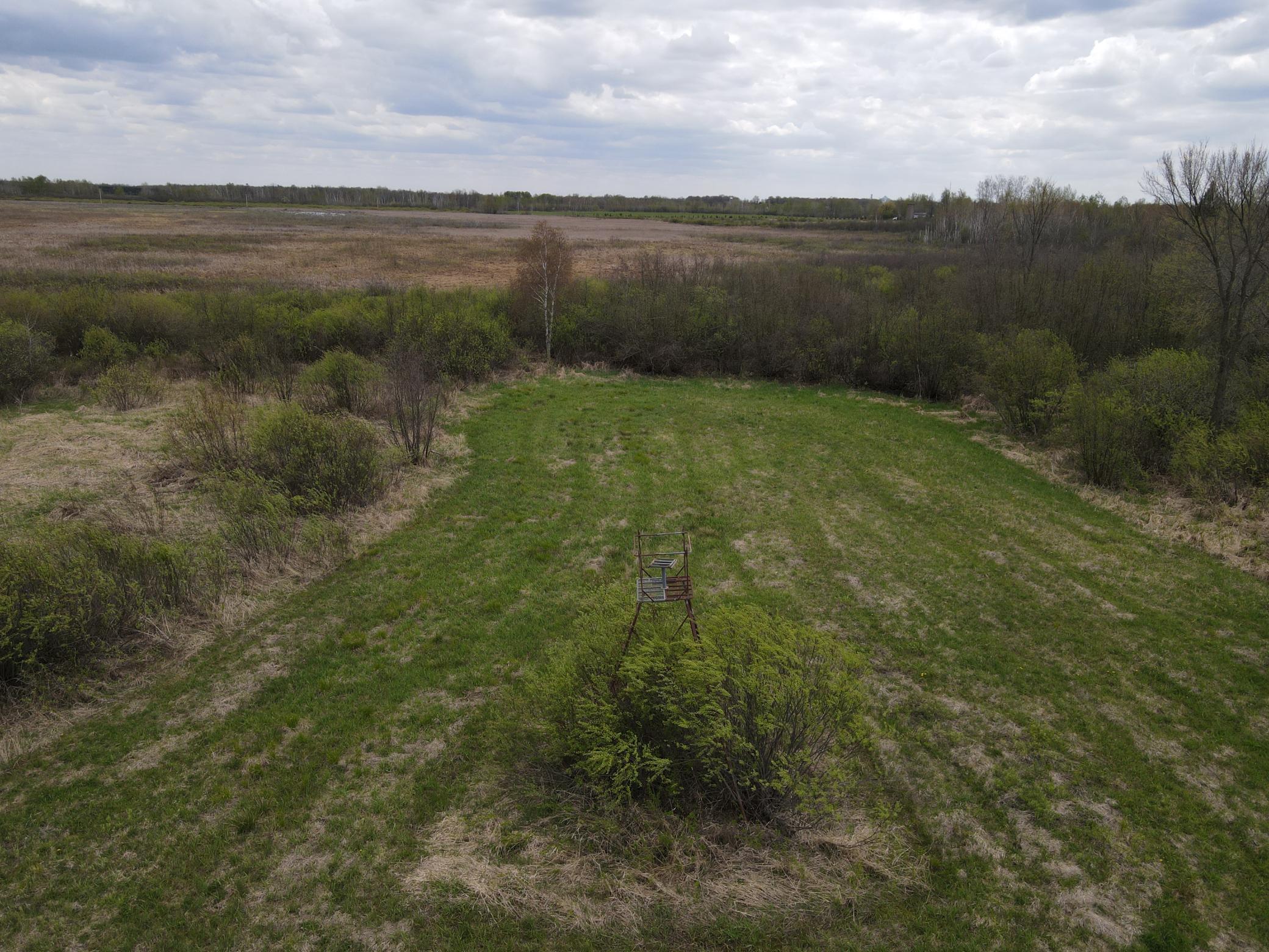 W74-tbd Homestead Road Conrath, WI 54731 - Photo 10 of 15