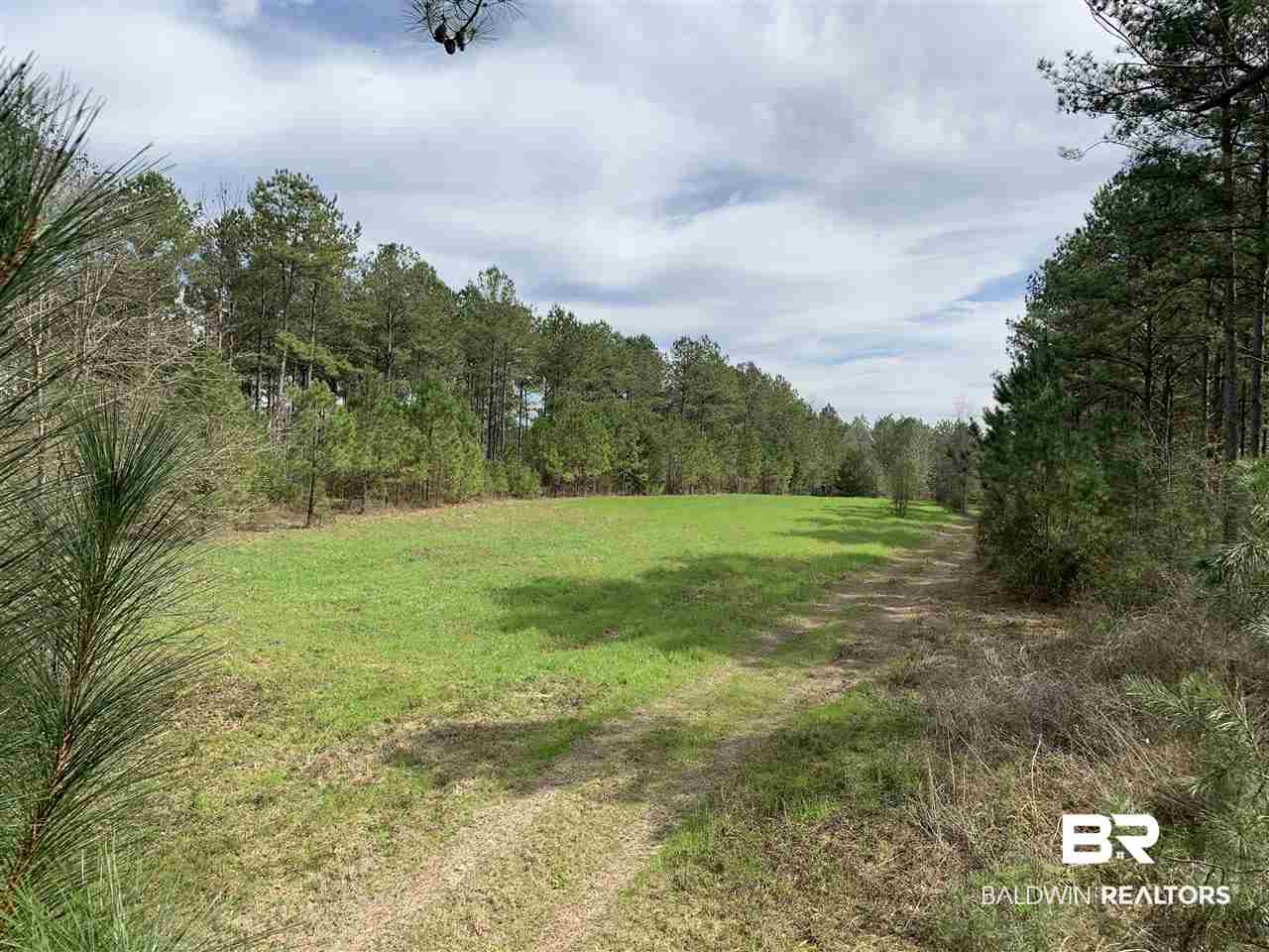 0 Sexton Brg Road Luverne, AL 36049 - Photo 3 of 50