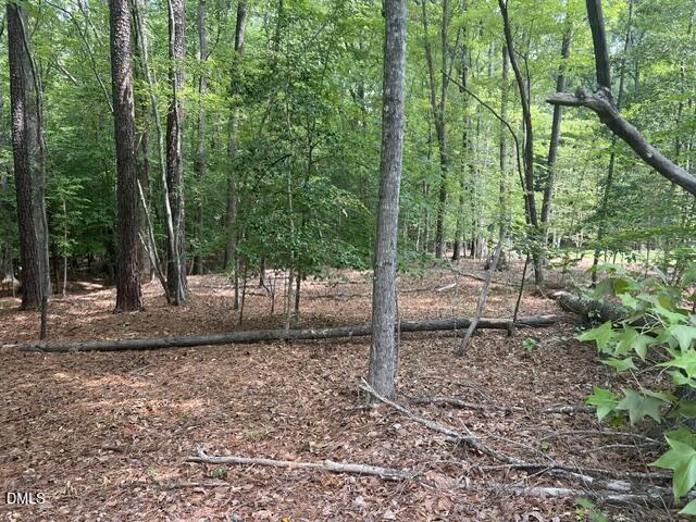 190 Buckaroo Drive Spring Hope, NC 27882 - Photo 5 of 6 IMG_7951