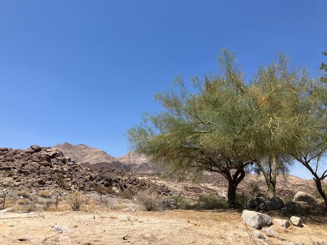 49305 Highway 74 Palm Desert, CA 92260 - Photo 44 of 47 IMG_5752