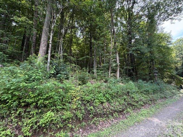 Lot 33 Sara Ridge Road Waynesville, NC 28786 - Photo 24 of 26 Gallery Image 24