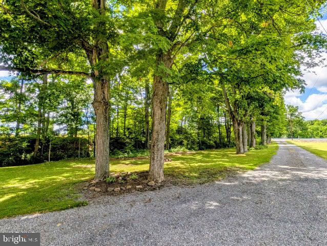 4762 Cortland Road New Paris, PA 15554 - Photo 94 of 98