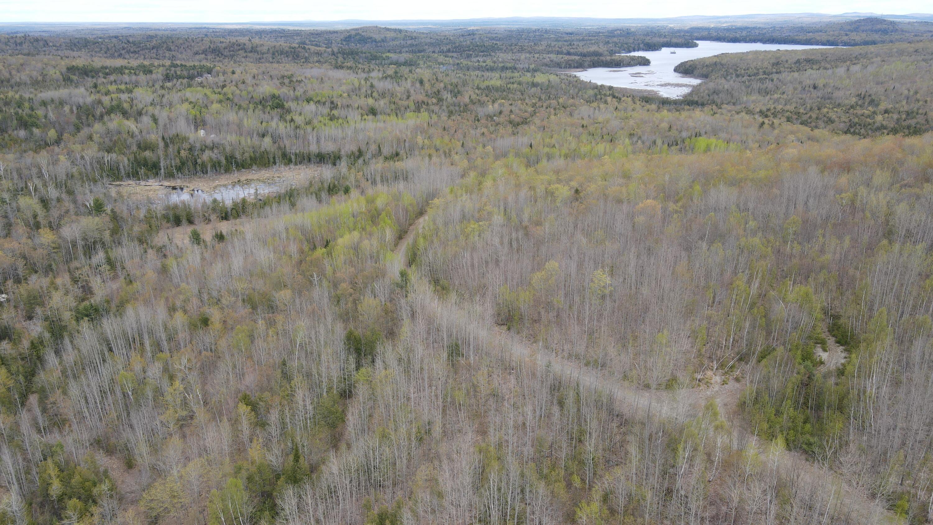 0 South Road Lincoln, ME 04457 - Photo 62 of 75 DJI_0139