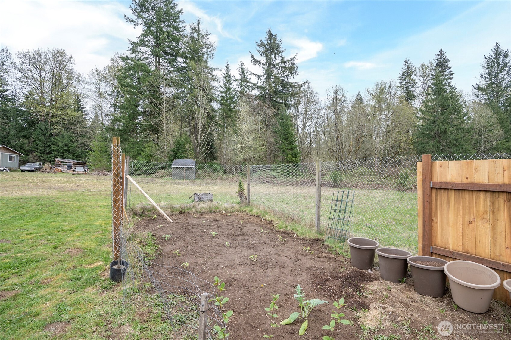20108 Highway 706 Elbe, WA 98330 - Photo 27 of 37 a view of a backyard with green space
