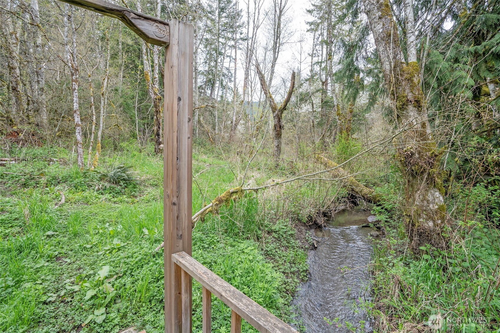 20108 Highway 706 Elbe, WA 98330 - Photo 33 of 37 a view of a garden with plants and large trees