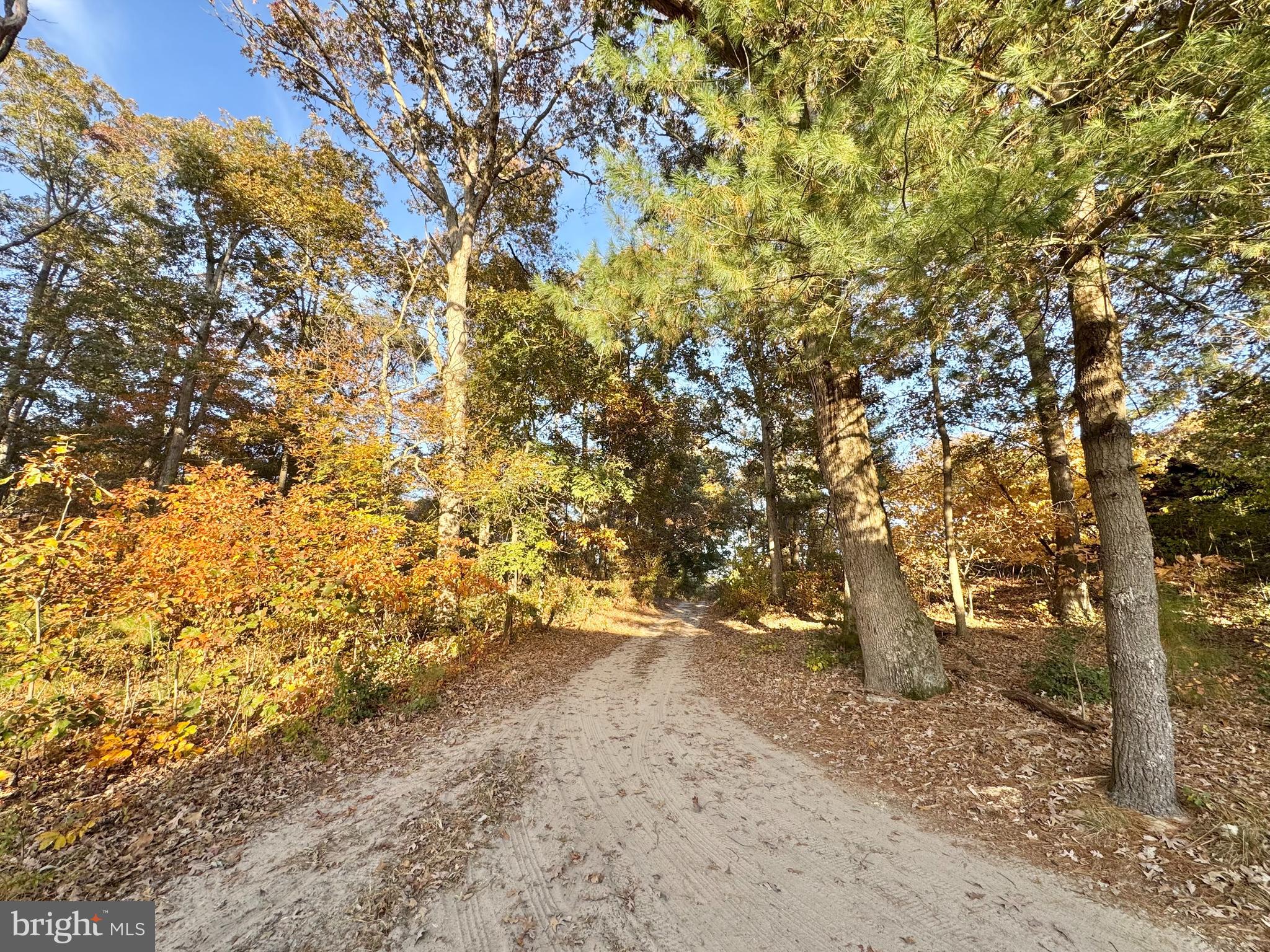 31568 Mt Pleasant Road Laurel, DE 19956 - Photo 12 of 30 a view of outdoor space and a yard