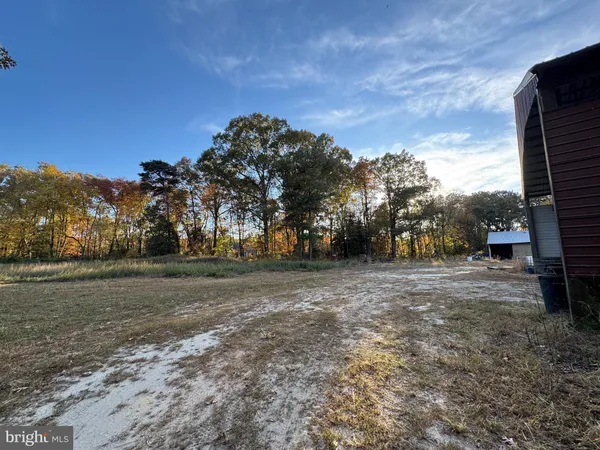 a view of dirt field with trees