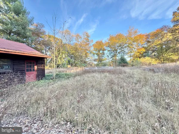 a view of a backyard with large trees