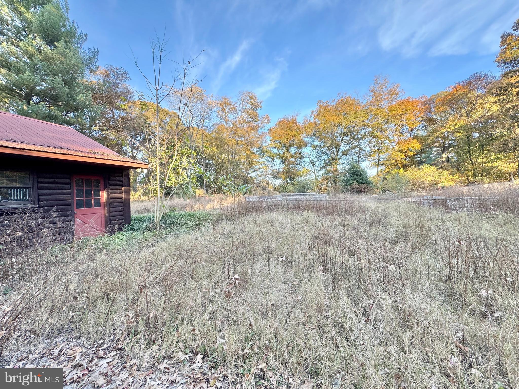 31568 Mt Pleasant Road Laurel, DE 19956 - Photo 17 of 30 a view of a backyard with large trees