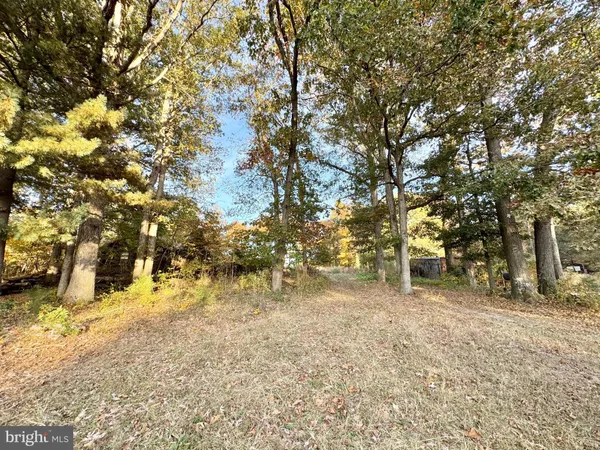 a view of yard with trees