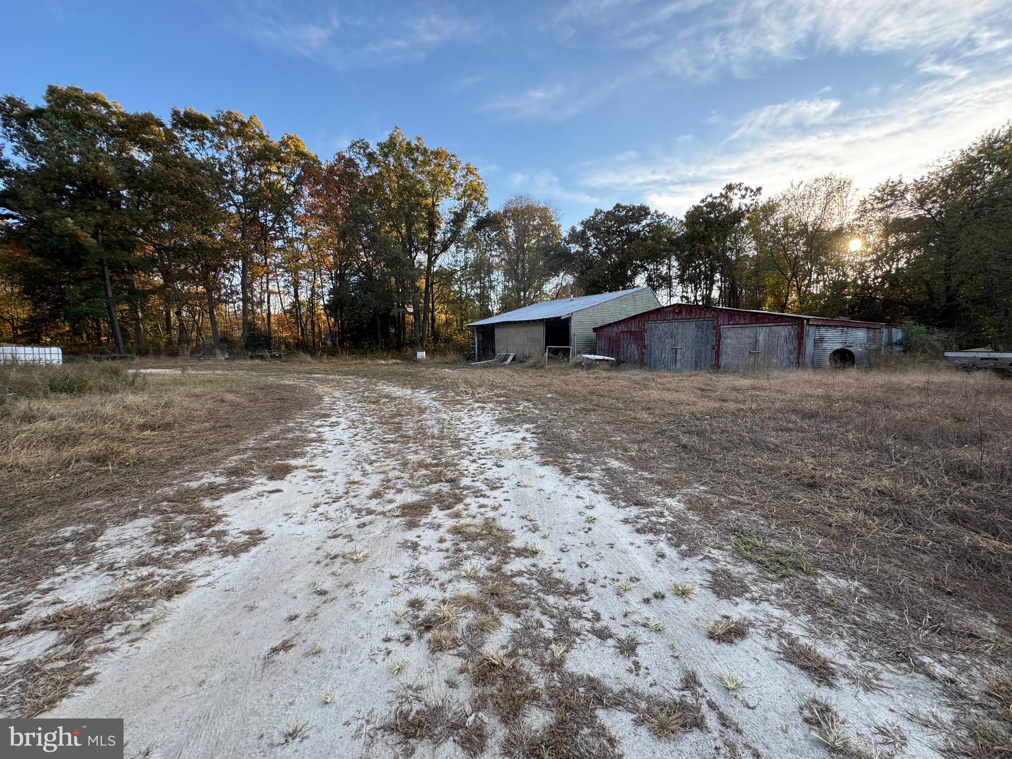 31568 Mt Pleasant Road Laurel, DE 19956 - Photo 27 of 30 a view of backyard with green space