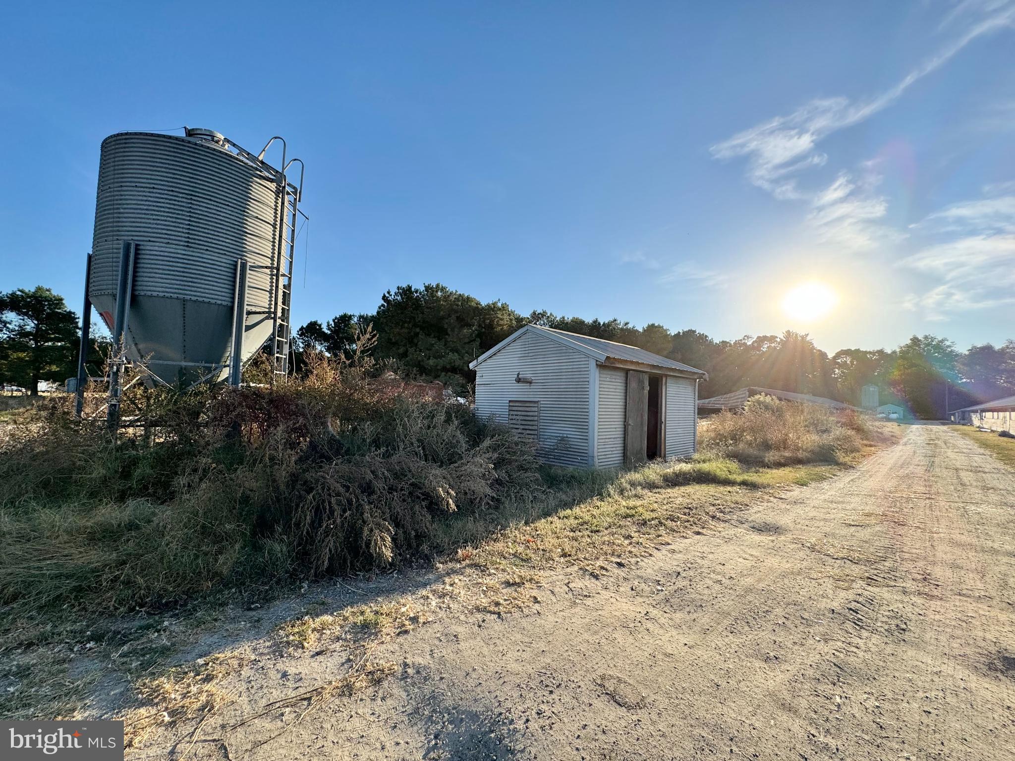 31568 Mt Pleasant Road Laurel, DE 19956 - Photo 6 of 30 a view of a house with a snow in the background