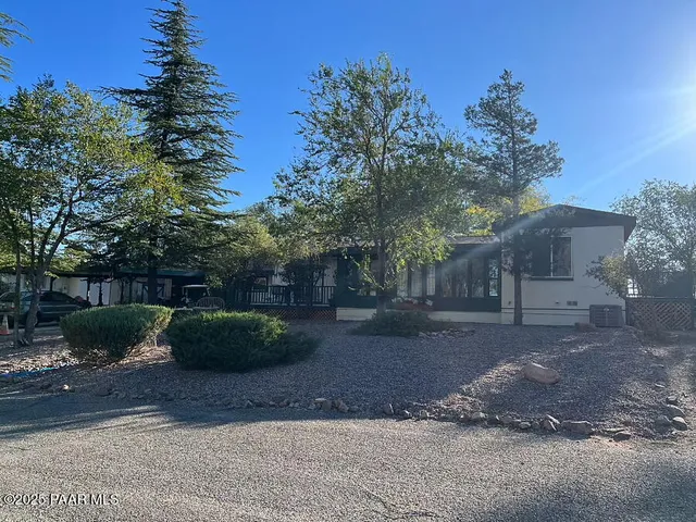 a view of a backyard with plants and tree