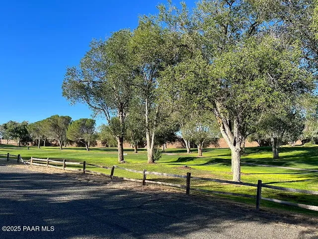 a view of a park with large trees