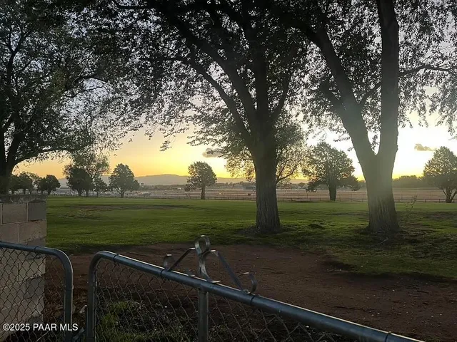 a view of a yard with a tree