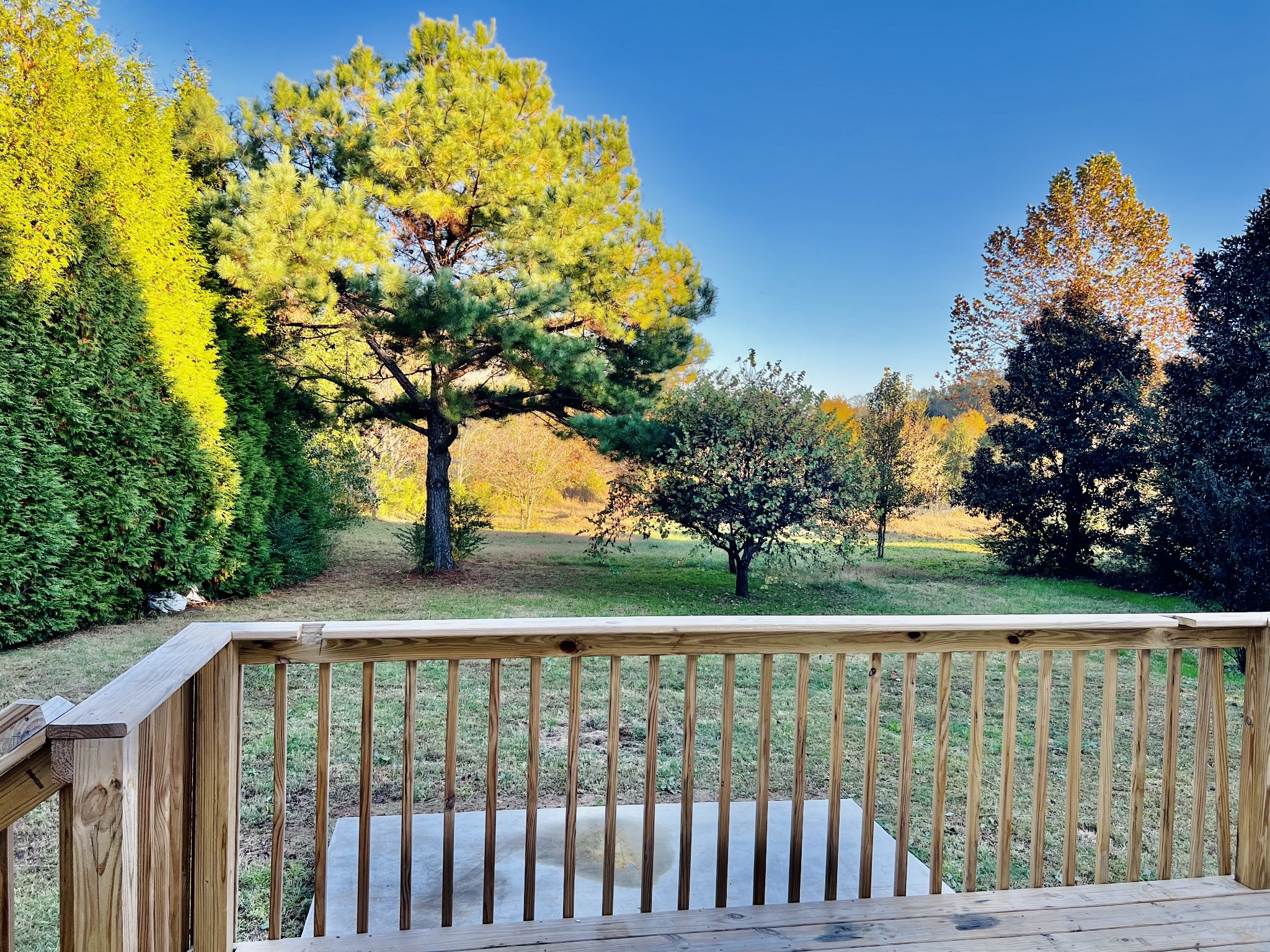 60 Myrick Road Flintville, TN 37335 - Photo 4 of 32 a view of outdoor space with deck and yard