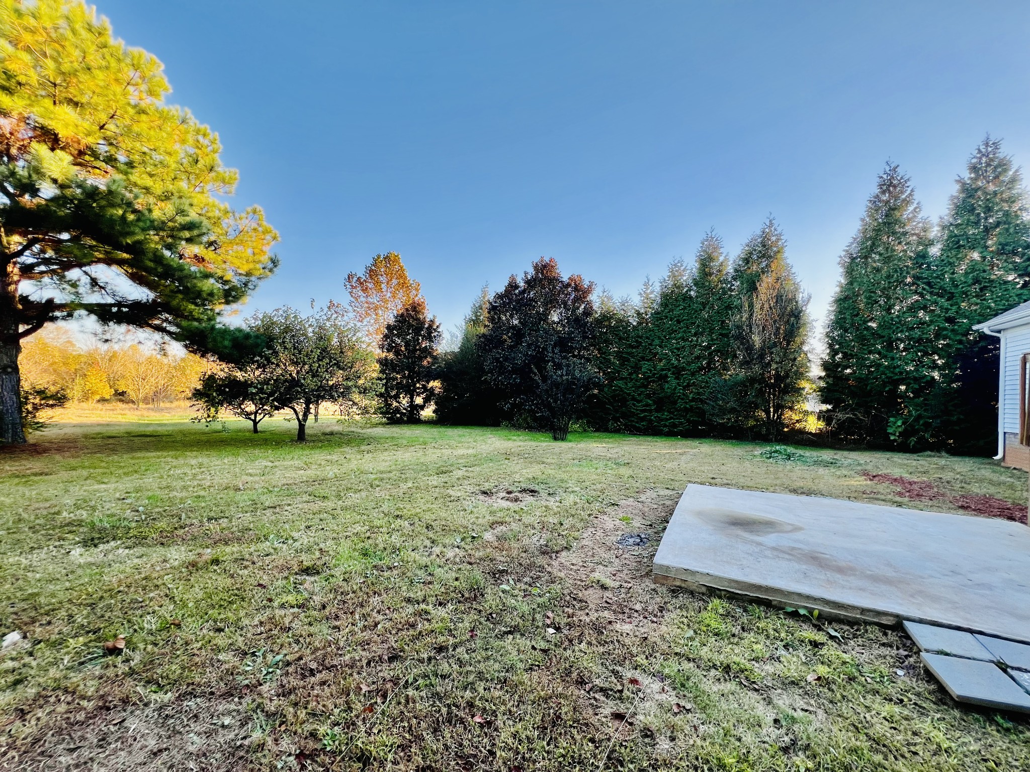 60 Myrick Road Flintville, TN 37335 - Photo 9 of 32 a view of a park