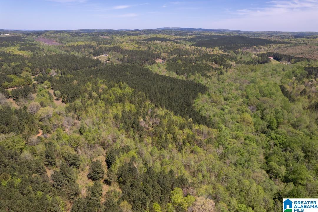 0 County Road 204, Unit 1 Heflin, AL 36264 - Photo 6 of 9