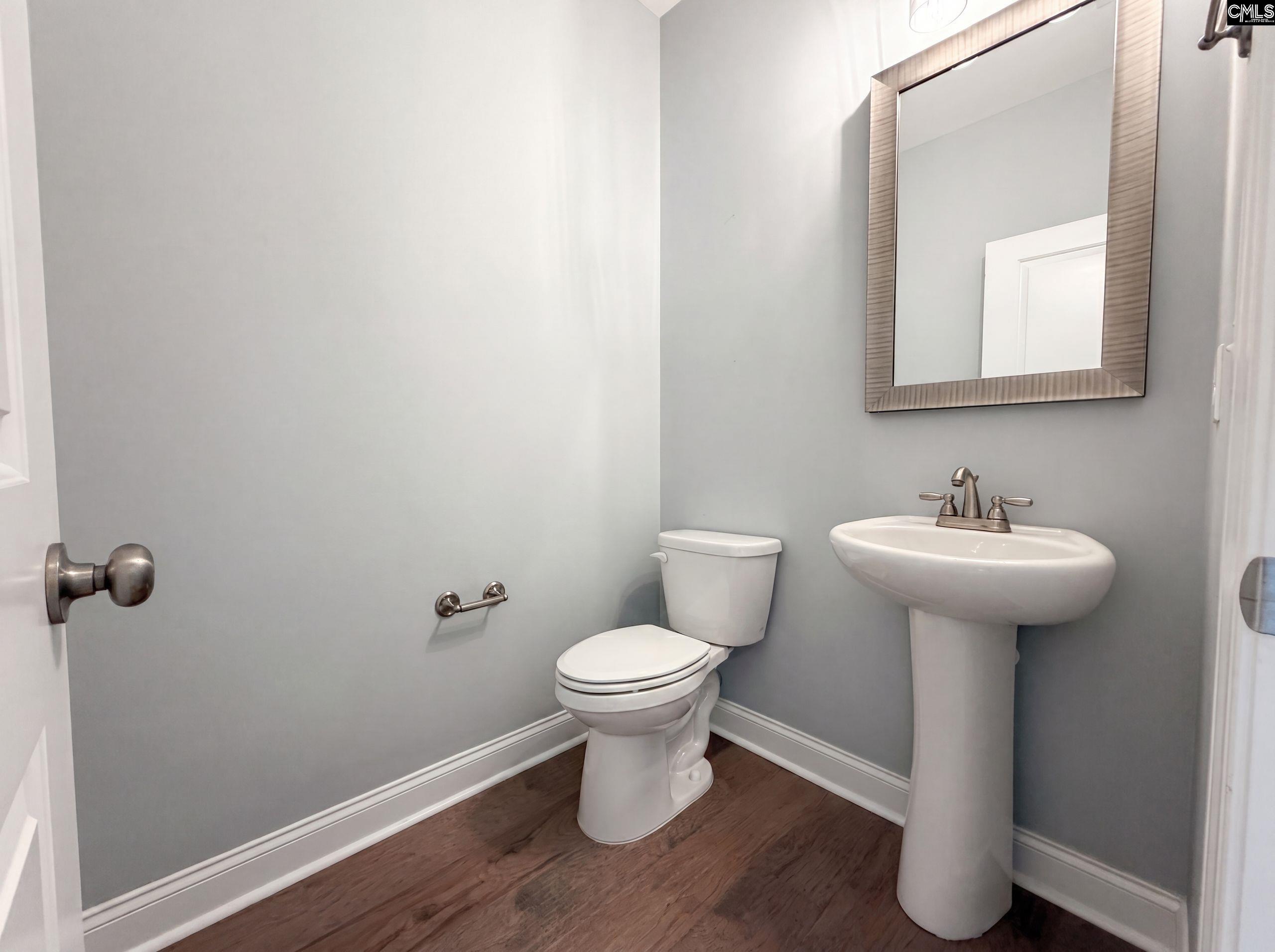 209 Lacecap Road Elgin, SC 29045 - Photo 16 of 28