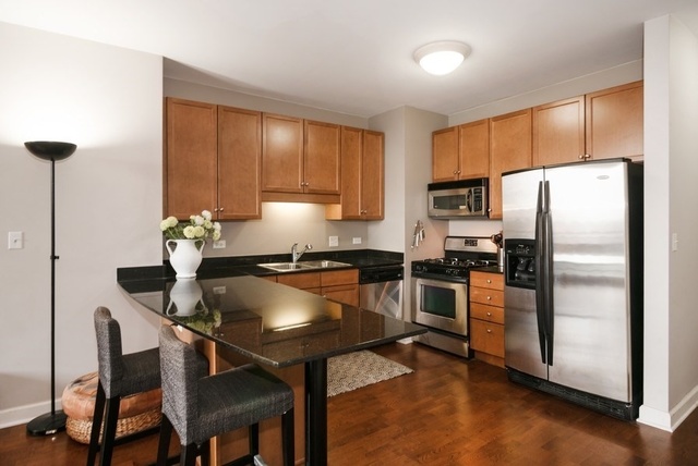 1101 South State Street, Unit 1406 Chicago, IL 60605 - Photo 4 of 13