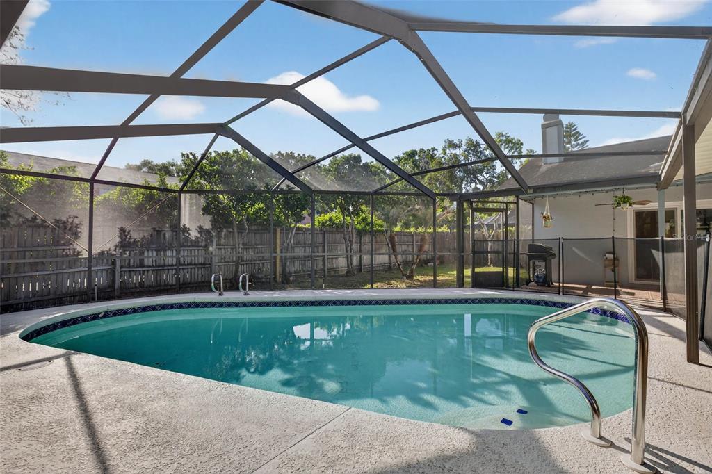 12913 Rain Forest Street Temple Terrace, FL 33617 - Photo 55 of 63 a view of a backyard with sitting area