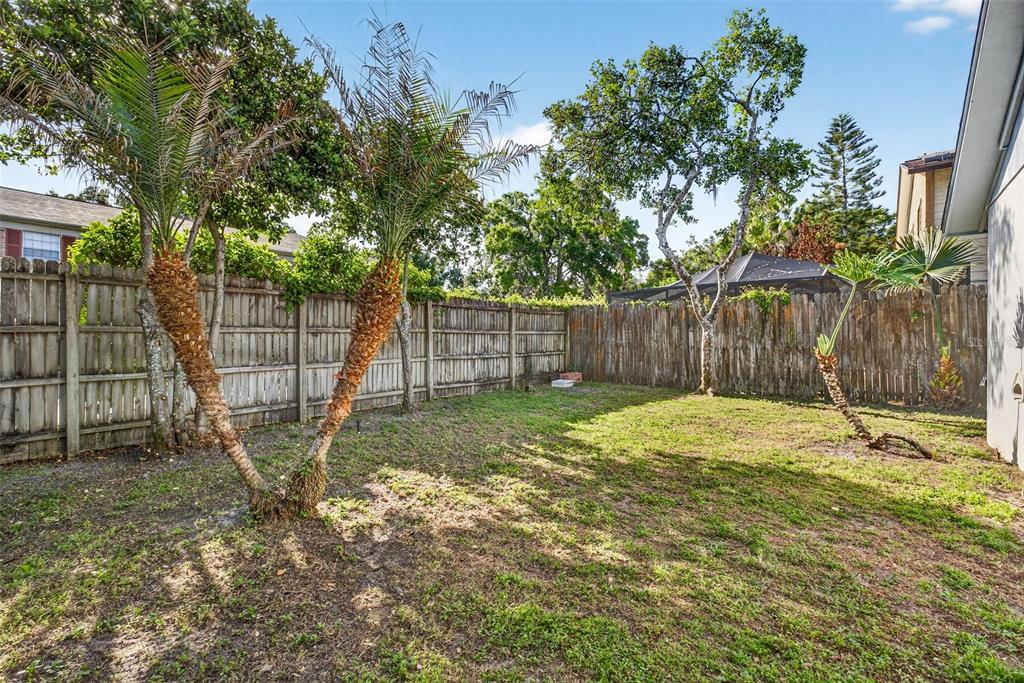 12913 Rain Forest Street Temple Terrace, FL 33617 - Photo 58 of 63