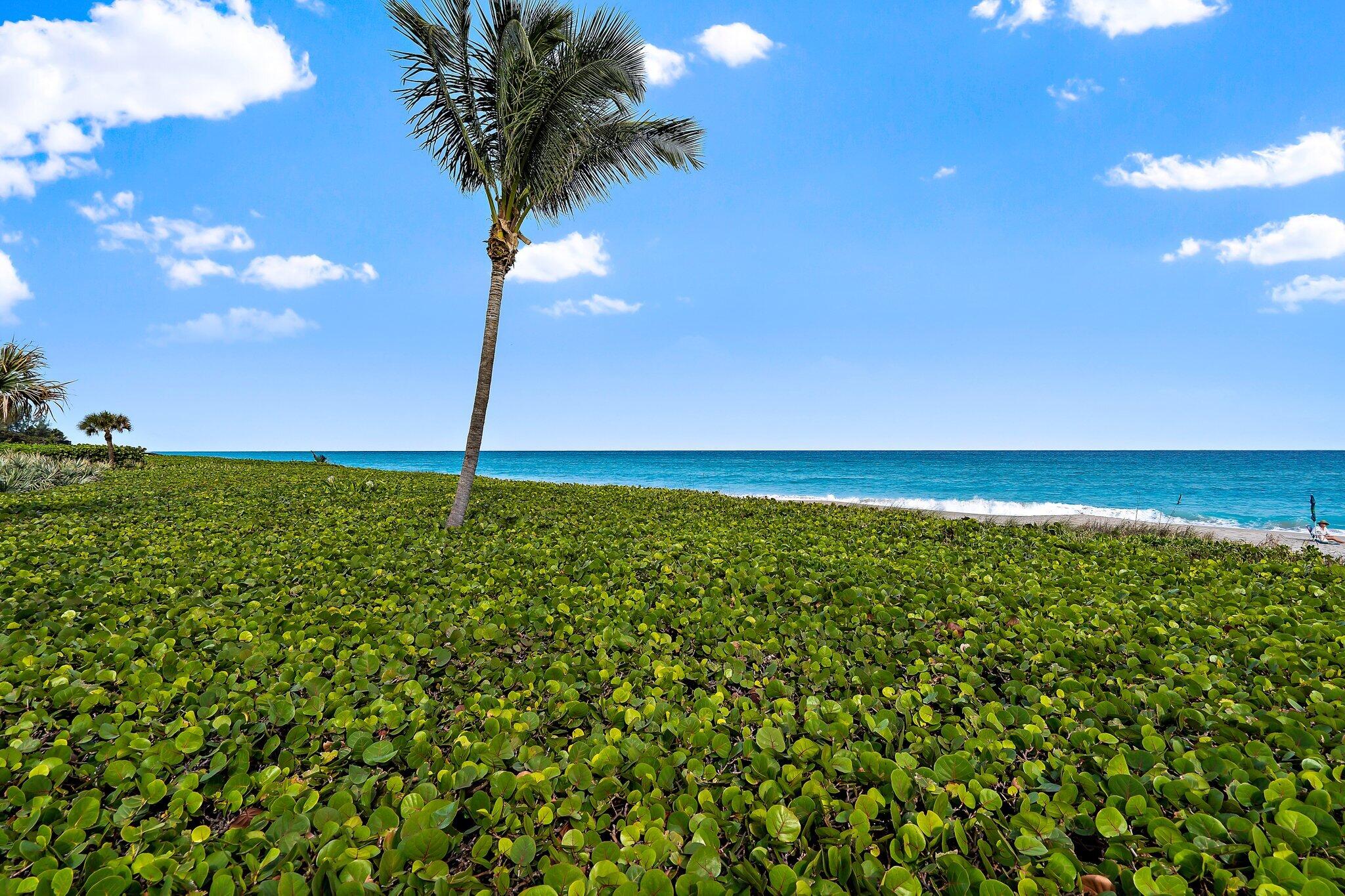 120 Celestial Way, Unit 302 Juno Beach, FL 33408 - Photo 39 of 50 007-120CelestialWay-201-JunoBeach-SMALL