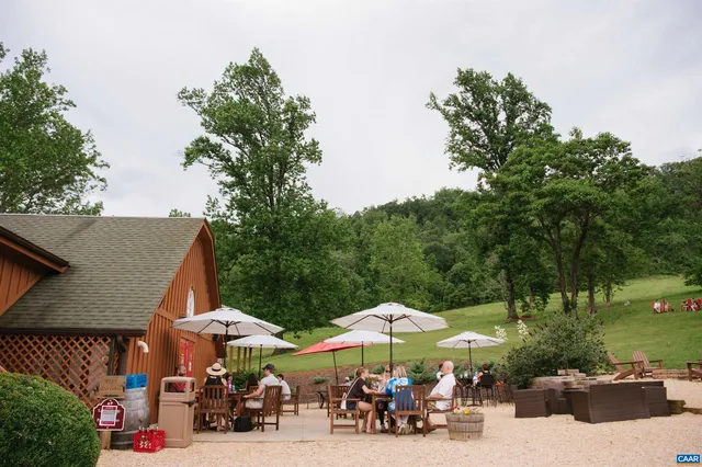 a view of a tree with a flower in a garden