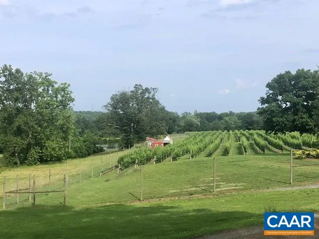 $3,900,000 | 3613 Walnut Branch Lane, North Garden, VA 22959